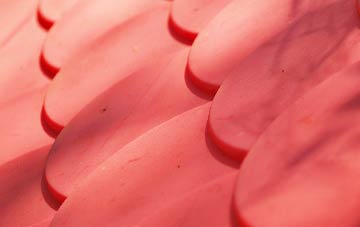 Wolverton Common plastic roof costs