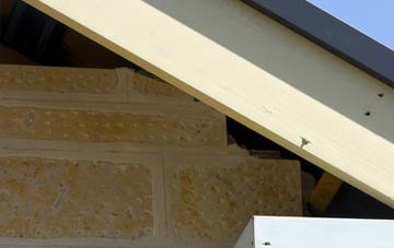soffit repair Wolverton Common